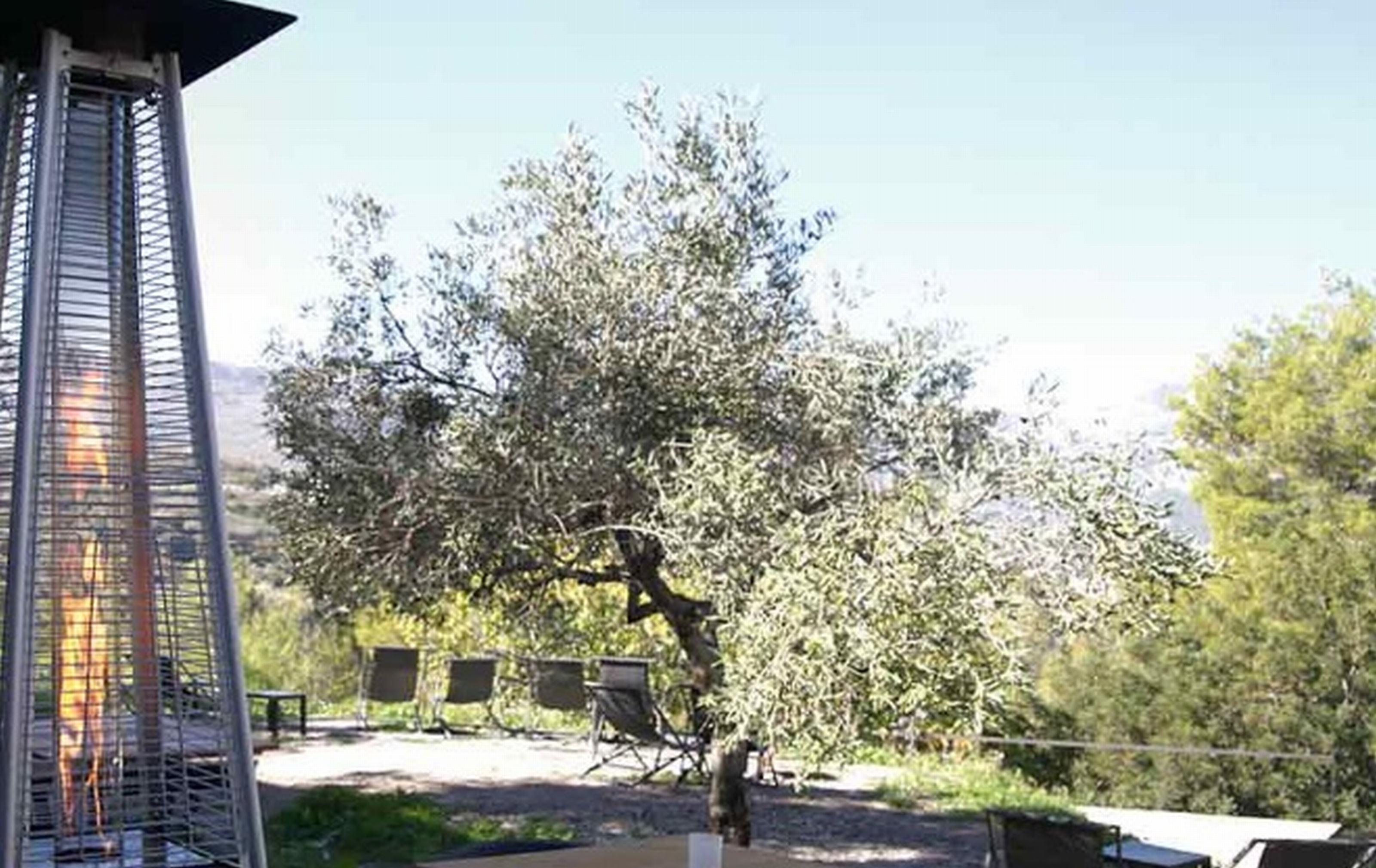 Vivood Landscape Hotel & Spa - Designed For Adults Benimantell Esterno foto